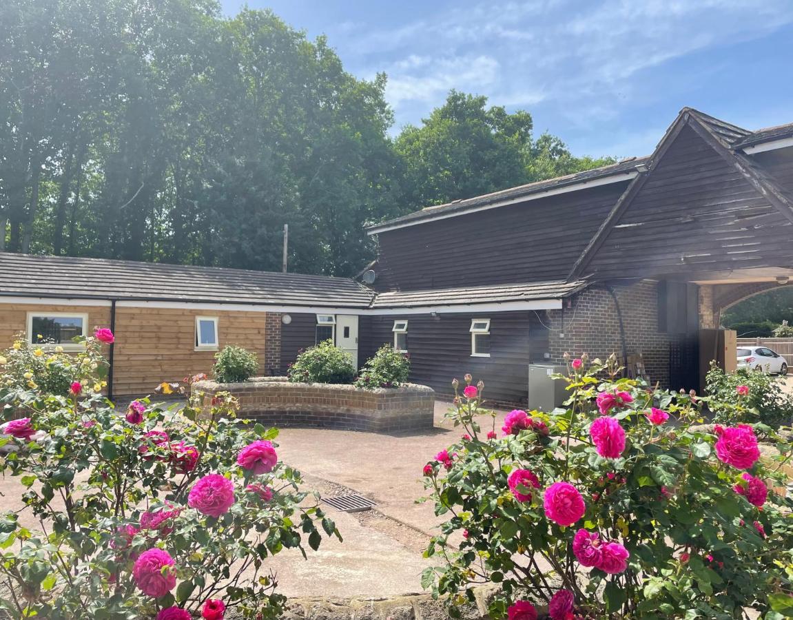 The Rose Cottage Wisborough Green ภายนอก รูปภาพ